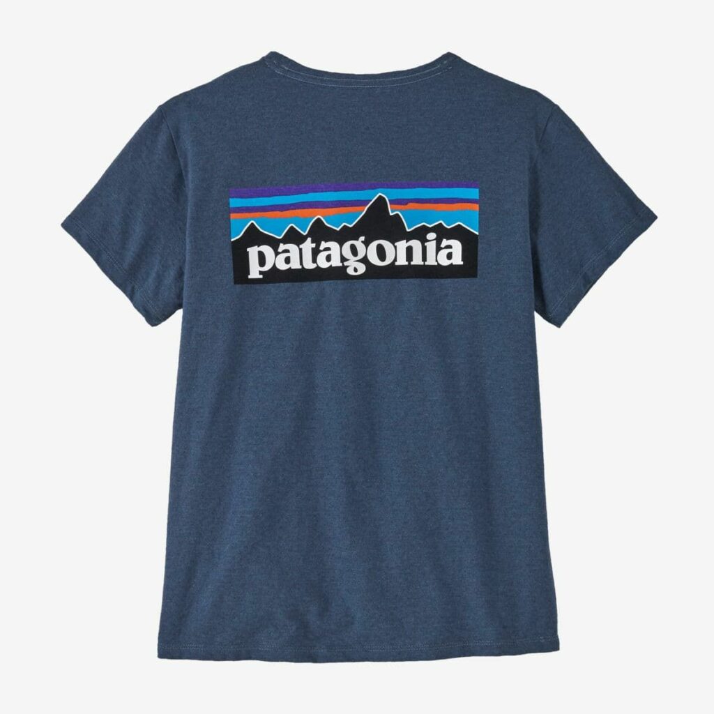 patagonia t shirt